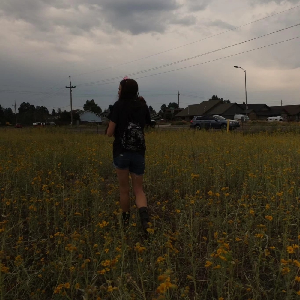 Intro - Picture 2 of 3